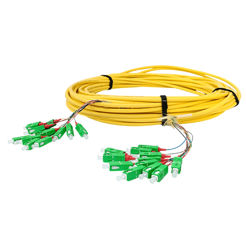 Patch Cord
